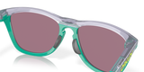 Oakley Frogskins Range Glasses-7