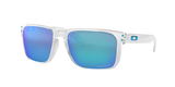 Oakley Holbrook XL Glasses-4