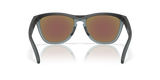 Oakley Frogskins Range Glasses-4