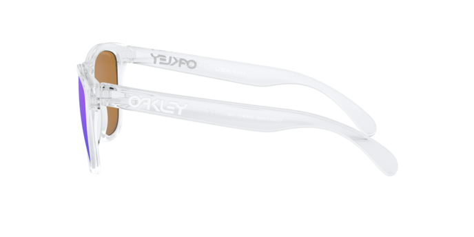 Oakley Frogskins Glasses-8