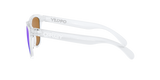 Oakley Frogskins Glasses-8