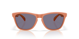Oakley Frogskins Glasses-8