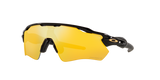 Oakley Radar EV Path Sunglasses-5