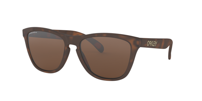 Oakley Frogskins Glasses-4