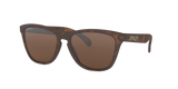 Oakley Frogskins Glasses-4