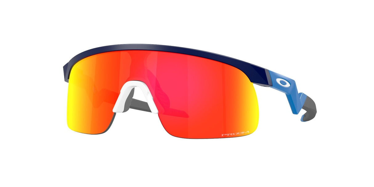 Oakley Resistor Sunglasses-1