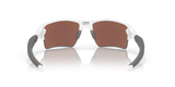 Oakley Flak 2.0 XL Sunglasses-6