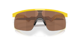 Oakley Resistor Sunglasses-9