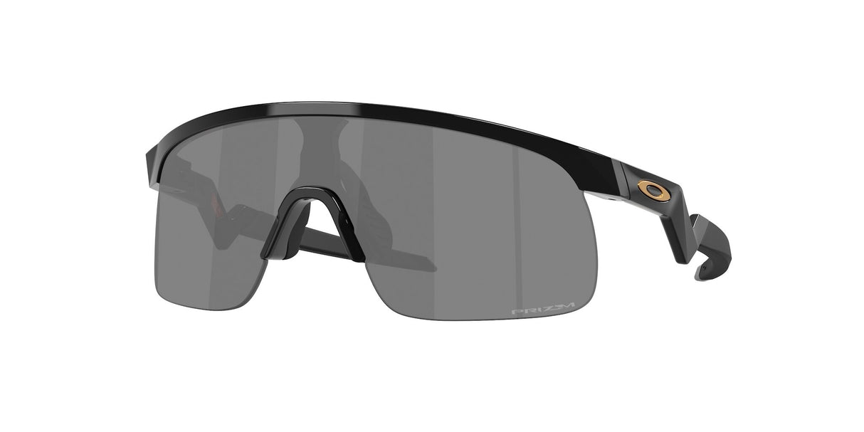 Oakley Resistor Sunglasses-1