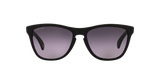 Oakley Frogskins A Glasses-2