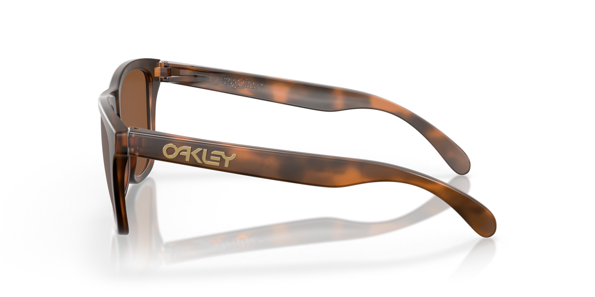 Oakley Frogskins Glasses-5