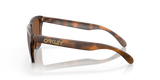 Oakley Frogskins Glasses-5