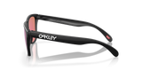 Oakley Frogskins A Glasses-3