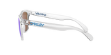 Oakley Frogskins Glasses-8