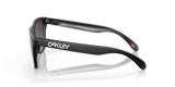 Oakley Frogskins A Glasses-5