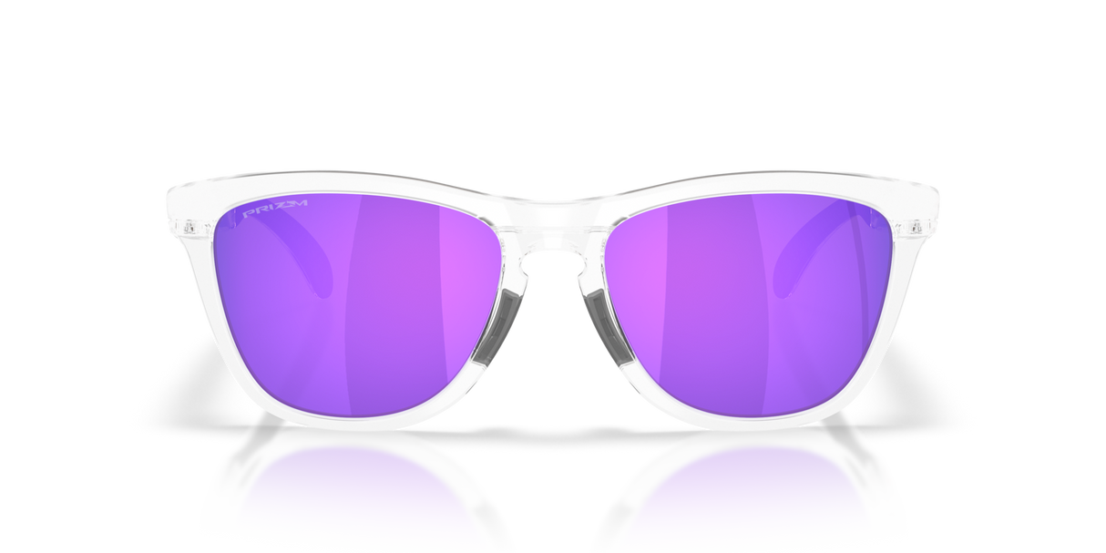 Oakley Frogskins Range XL Glasses-8