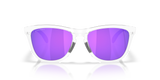 Oakley Frogskins Range XL Glasses-8