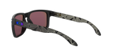 Oakley Holbrook Glasses-12