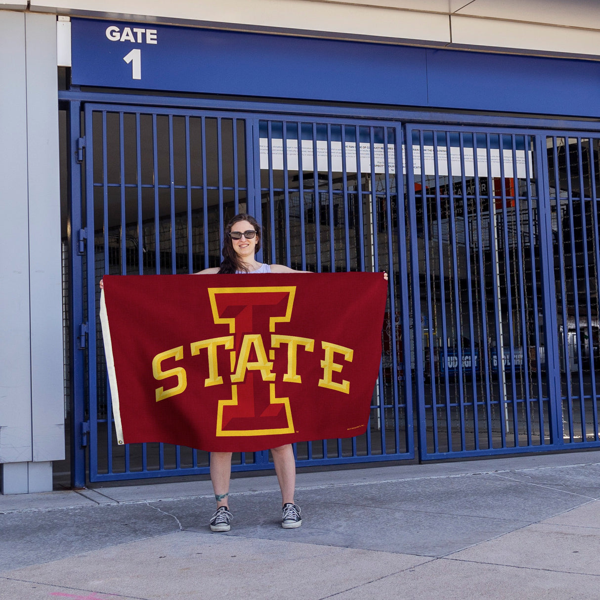 Rico Industries NCAA Iowa State Cyclones Standard 3' x 5' Banner Flag-4