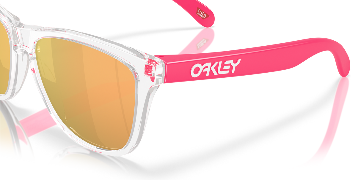 Oakley Frogskins Glasses-6