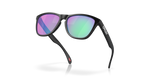 Oakley Frogskins A Glasses-5