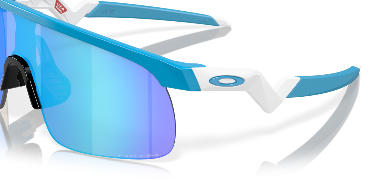 Oakley Resistor Sunglasses-6