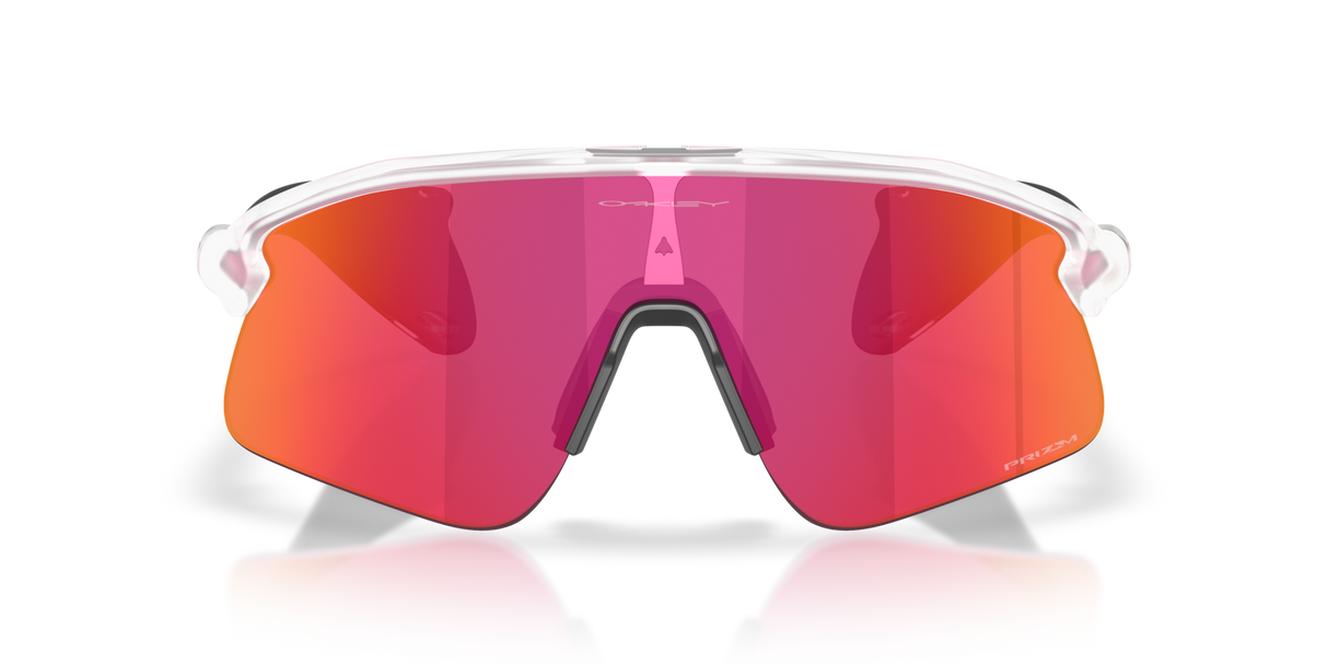 Oakley Stunt Devil Sunglasses-8