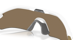 Oakley Radar Plate Sunglasses-7