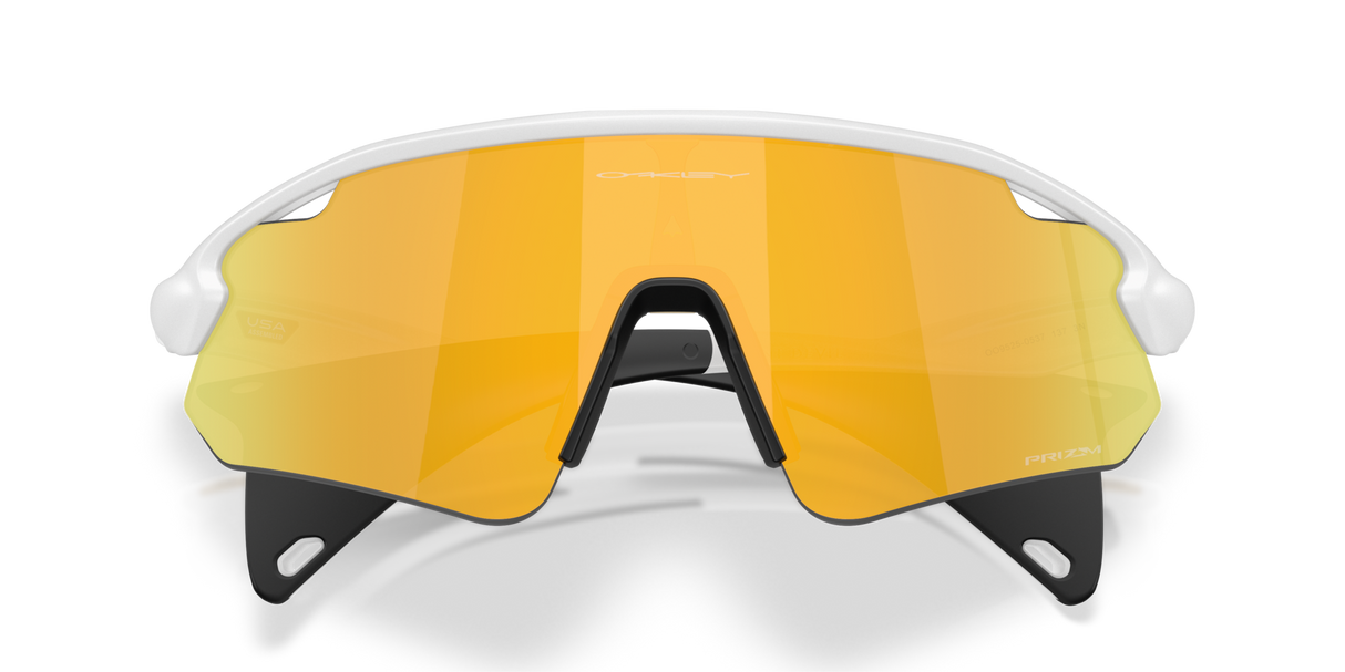 Oakley Stunt Devil A Sunglasses-9