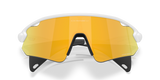 Oakley Stunt Devil A Sunglasses-9