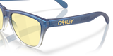 Oakley Frogskins S Glasses-6