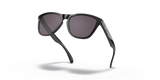 Oakley Frogskins A Glasses-9