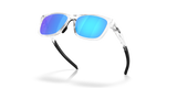 Oakley Paracord Glasses-5