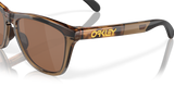 Oakley Frogskins Range A Glasses-6