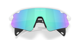 Oakley Stunt Devil A Sunglasses-9