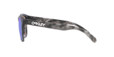 Oakley Frogskins A Glasses-11