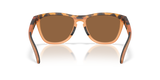 Oakley Frogskins Range XL A Glasses-4