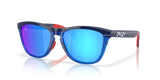 Oakley Frogskins Range Glasses-2