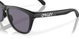 Oakley Frogskins Range Glasses-6