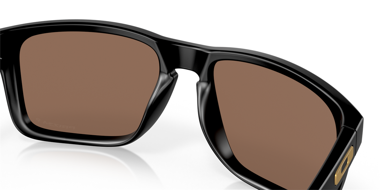 Oakley Holbrook XL Glasses-10