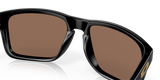 Oakley Holbrook XL Glasses-10
