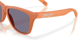 Oakley Frogskins A Glasses-6