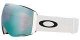Oakley Flight Deck Pro Large Snow Goggles-4