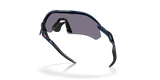 Oakley Radar Plate Sunglasses-5