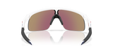 Oakley Resistor NFL Sunglasses-4