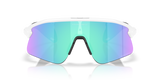 Oakley Stunt Devil Sunglasses-8