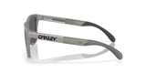 Oakley Frogskins Range Glasses-3
