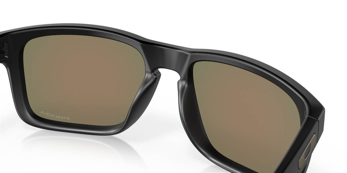Oakley Holbrook Glasses-11