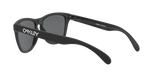 Oakley Frogskins Glasses-12