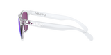Oakley Frogskins A Glasses-8